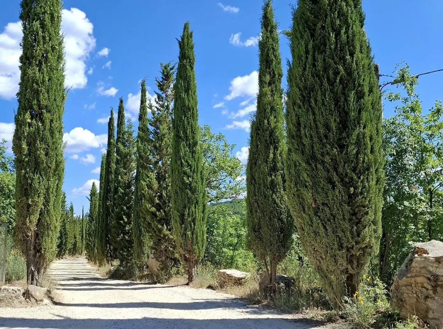 Farma Borgo Livernano Radda in Chianti Itálie