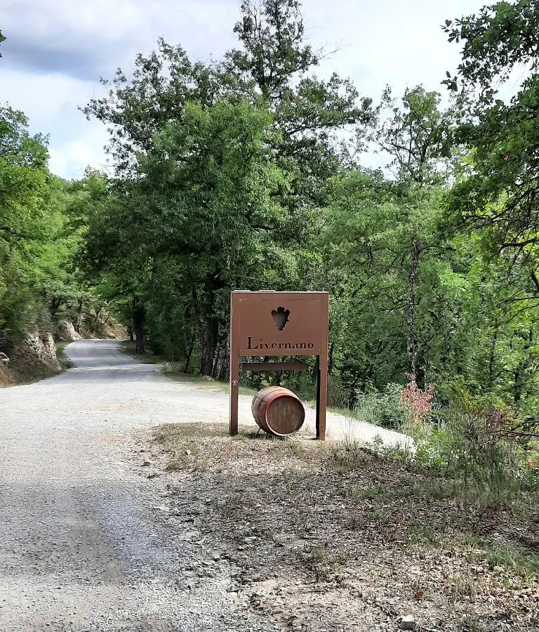Borgo Livernano Radda in Chianti