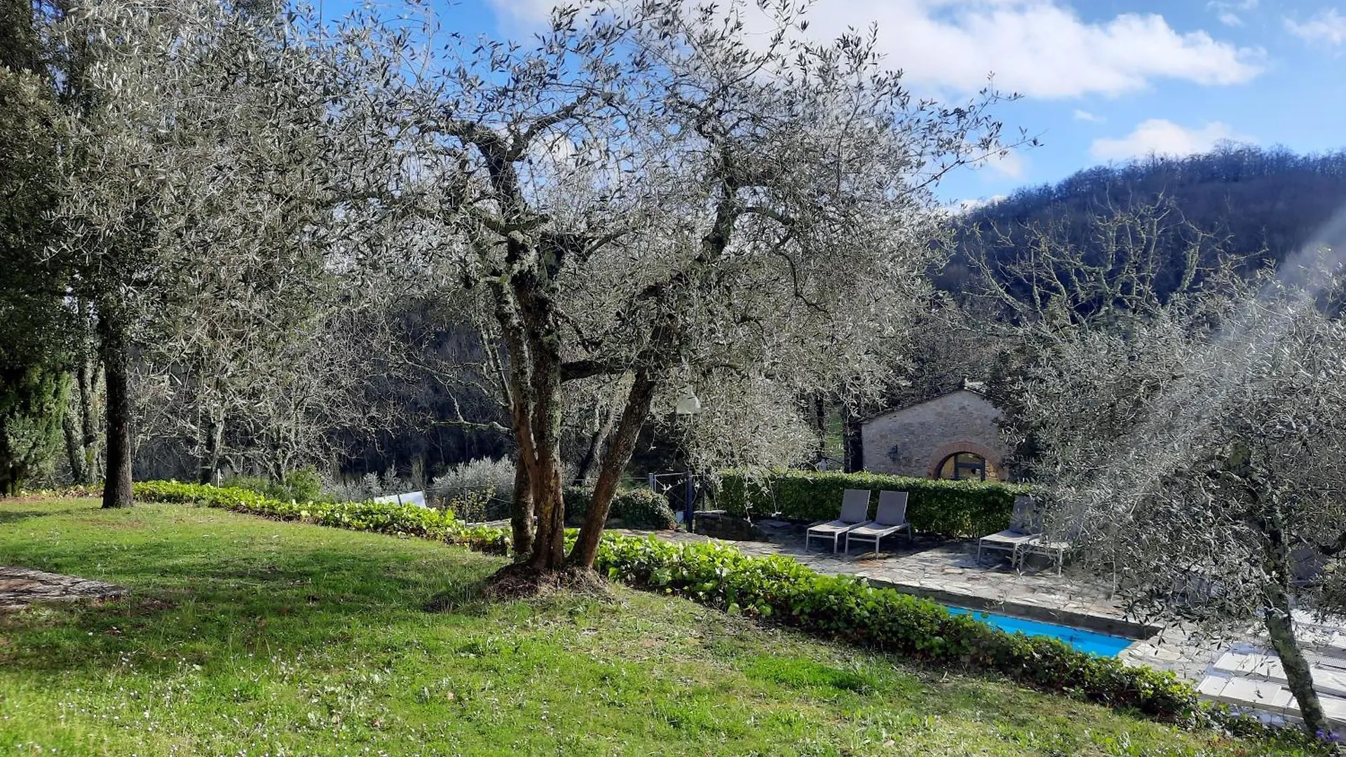 Borgo Livernano Radda in Chianti 0*,  Italy